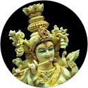 nisari mohandas profile picture