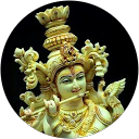 nisari mohandas profile picture